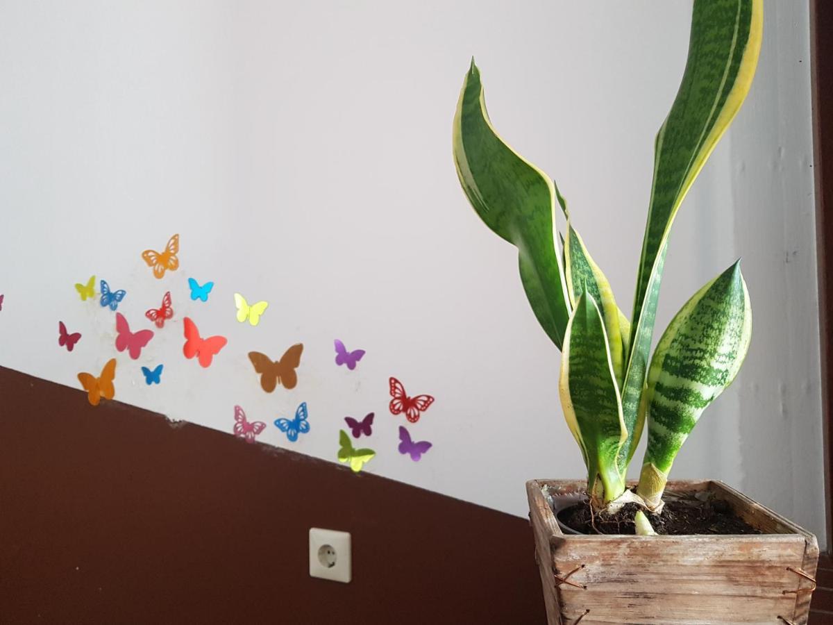 הוסטל Osnabrück Penthouse Backpackers מראה חיצוני תמונה