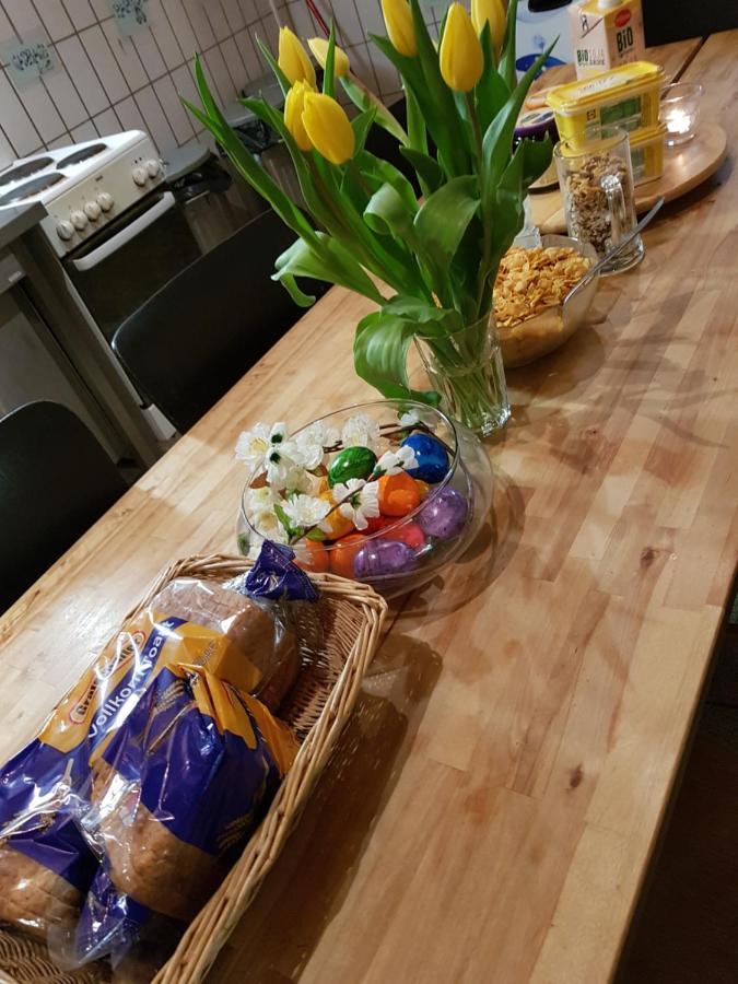 הוסטל Osnabrück Penthouse Backpackers מראה חיצוני תמונה