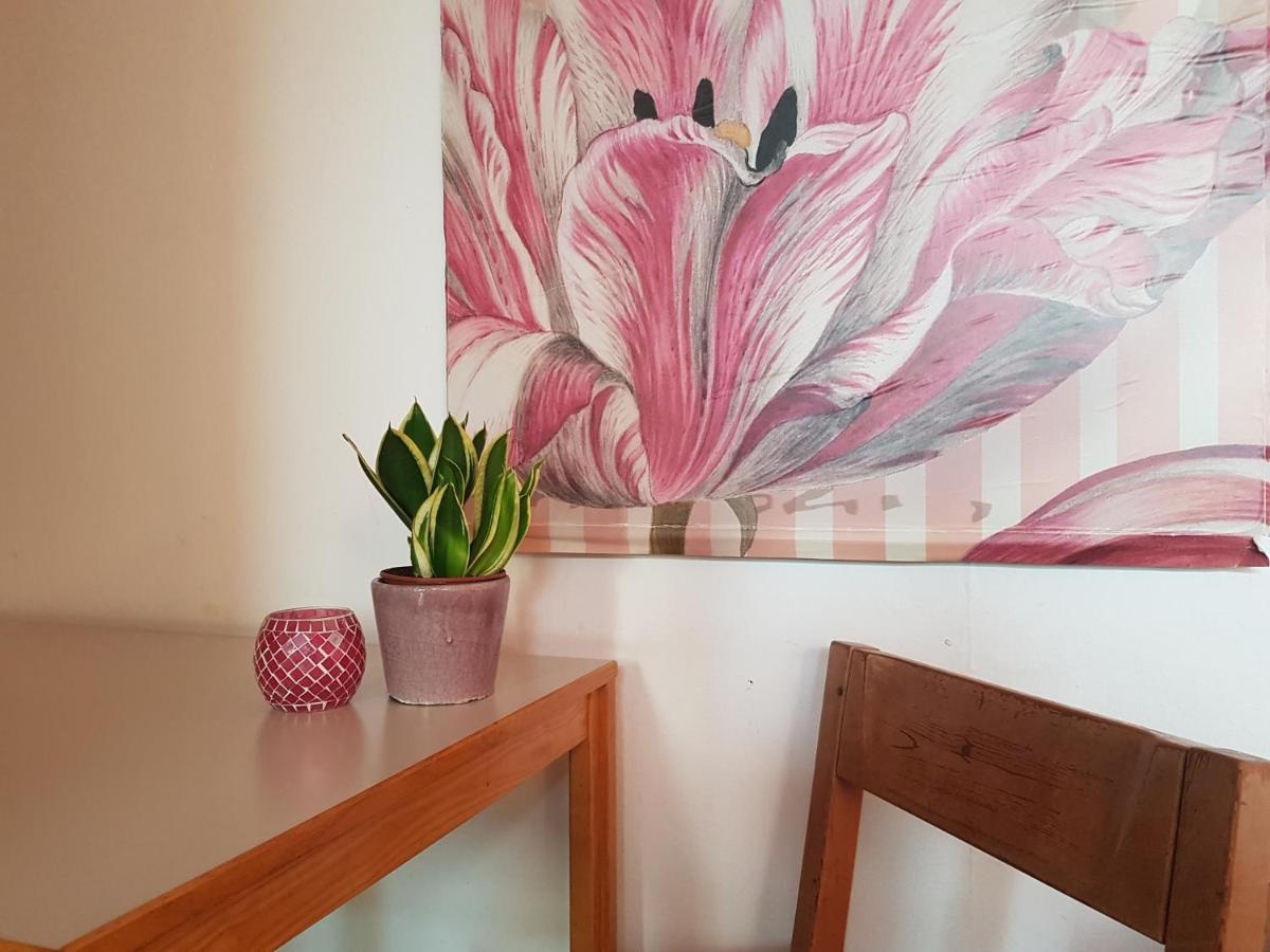 הוסטל Osnabrück Penthouse Backpackers מראה חיצוני תמונה